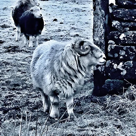 A Charming Luxury Apartment! *